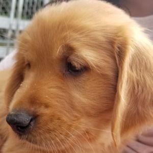 Meet your Posher, Naveen